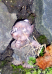 RIMG0168.jpg