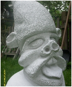 S7302556.JPG
