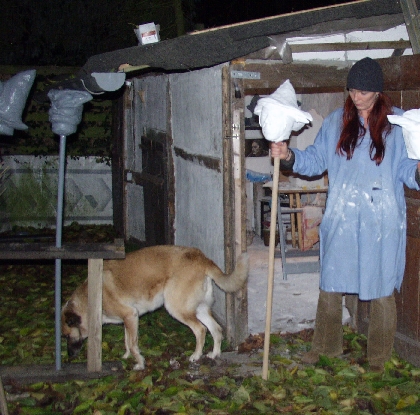 hausgeister 091.jpg